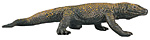 Komodo dragon.jpg